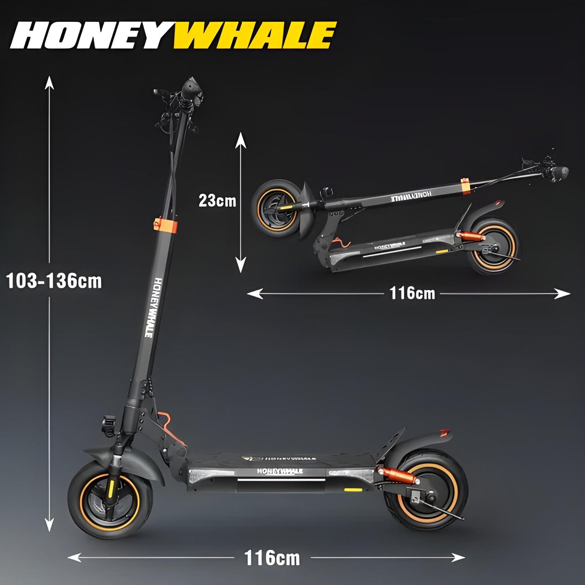 Honey Whale T4a - 750w Patinete Elétrico Scooter 45km/h 10ah