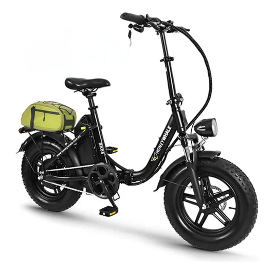 Honey Whale Bk05 - Bicicleta Elétrica 500w 40km 38km/h